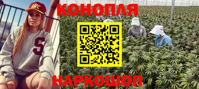 PSILOCYBIN Северобайкальск