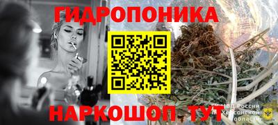 PSILOCYBIN Северобайкальск